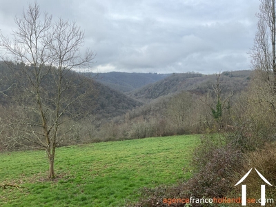 Maison à vendre st mesmin, champagne-ardenne, Li968 Image - 28