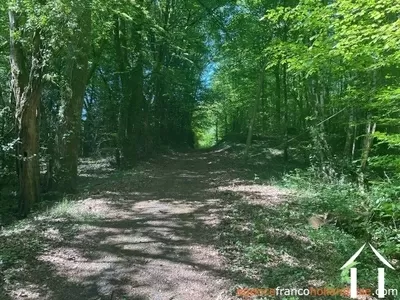 Maison à vendre , Li993 Image - 29