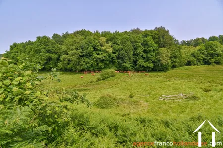 Maison à vendre rempnat, limousin, Li996 Image - 41