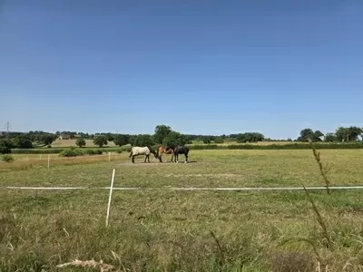 Fermette à vendre bourbon l archambault, auvergne, AP030071081 Image - 12