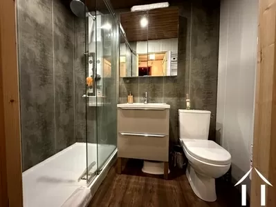 Fermette à vendre laprugne, auvergne, AP030071117 Image - 5