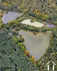Domaine Ref # AP030071194 