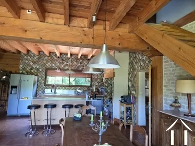 Châteaux, domaine à vendre arronnes, auvergne, AP03007176 Image - 2