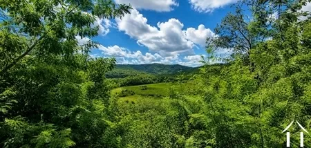 Propriété 1 hectare ++ à vendre roquebrun, languedoc-roussillon, EG09-6993 Image - 2