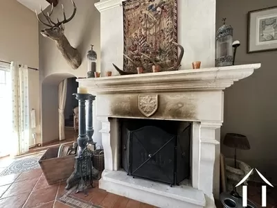 Châteaux, domaine à vendre st chinian, languedoc-roussillon, EG11-2490 Image - 7
