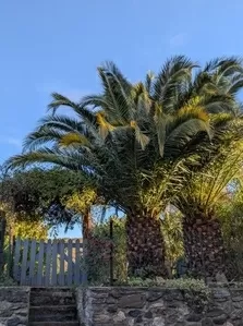 Maison en pierre à vendre fos, midi-pyrénées, EG11-2508 Image - 9