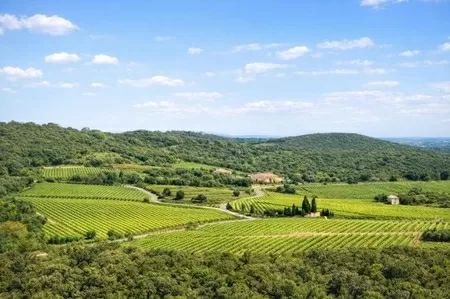 Maison à vendre faugeres, rhône-alpes, EG11-2546 Image - 9