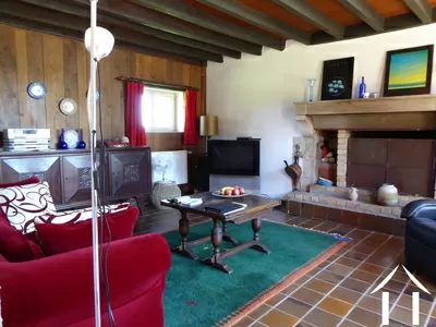 salle de séjour avec cheminée