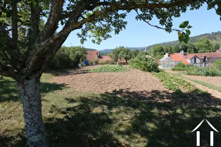 Jardin: terre à vigne à planter
