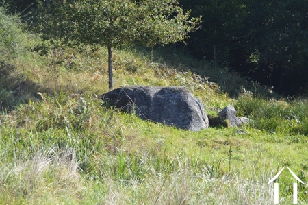 Propriété 1 hectare ++ à vendre tazilly, bourgogne, RP5275M Image - 28