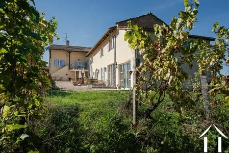 Châteaux, domaine à vendre macon, bourgogne, JP5262S Image - 18