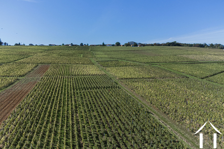 Manoir à vendre macon, bourgogne, JP5262S Image - 20