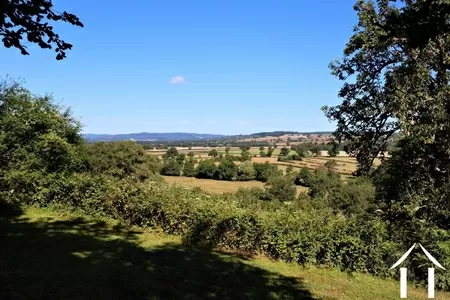 Maison en pierre à vendre st leger du bois, bourgogne, CVH5344L Image - 8