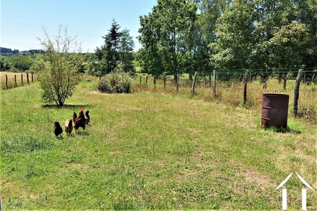Propriété 1 hectare ++ à vendre st martin de salencey, bourgogne, JP5345S Image - 8