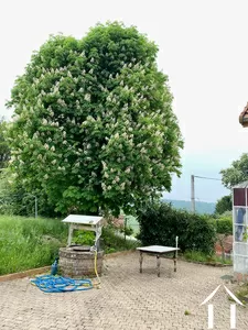 La cour (côté Est) et le puits