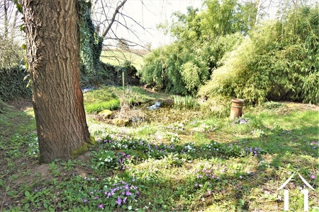 Maison en pierre à vendre cluny, bourgogne, JP5450S Image - 19
