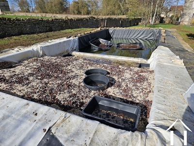 Bassin à filtration botanique 