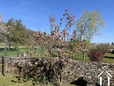 Maison à vendre noyers, bourgogne, bh5582H Image - 11
