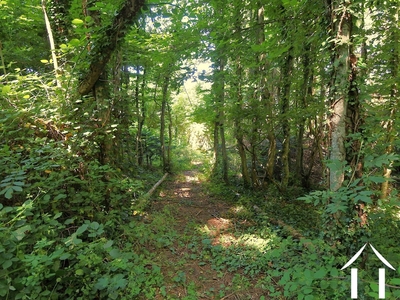 Maison à vendre montmelard, bourgogne, JDP5589S Image - 39