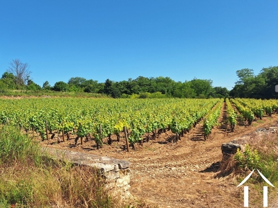 Maison à vendre chagny, bourgogne, JDP5598S Image - 35