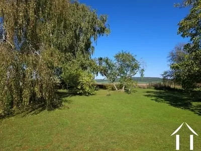 Jardin avec des arbres matures