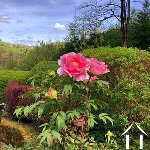 Maison à vendre cussy en morvan, bourgogne, cvh5641 Image - 18