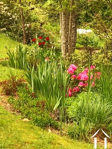 Maison à vendre cussy en morvan, bourgogne, cvh5641 Image - 15
