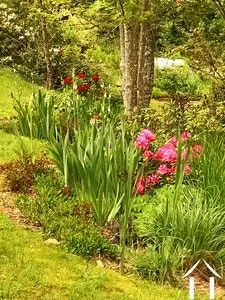 Maison à vendre cussy en morvan, bourgogne, cvh5641 Image - 15