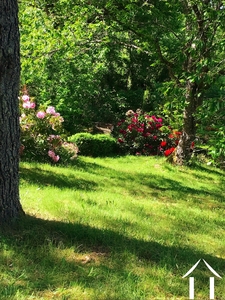 Maison à vendre cussy en morvan, bourgogne, cvh5641 Image - 6