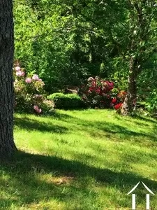 Maison à vendre cussy en morvan, bourgogne, cvh5641 Image - 6
