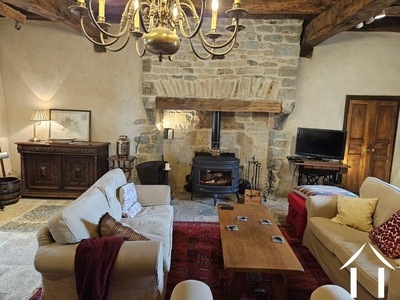 Salon charmant avec cheminée et de nombreuses caractéristiques