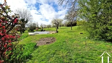 Jardin arrière avec piscine