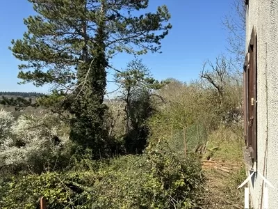 Maison à vendre mont et marre, bourgogne, cvh 5658 Image - 14