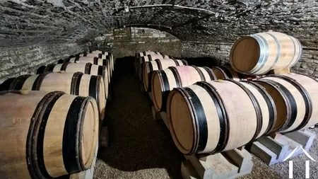 Cave à vin