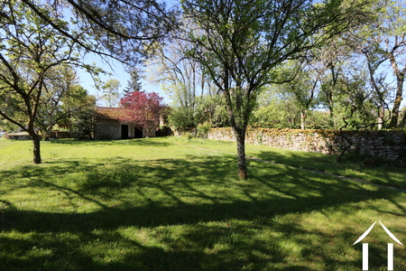 Jardin avec abri de jardin