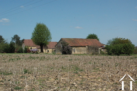 Propriété 1 hectare ++ à vendre montignac, aquitaine, GVS3746C Image - 9