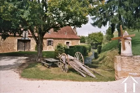 Propriété 1 hectare ++ à vendre montignac, aquitaine, GVS4850C Image - 6