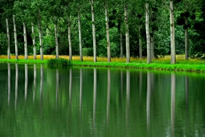 Bourgogne, région de rivières et canaux