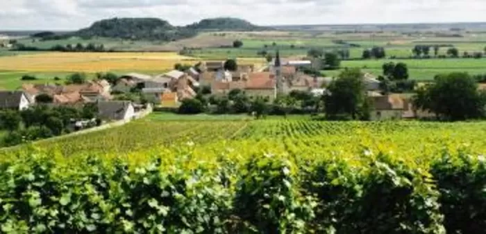 Massigny et son vignoble