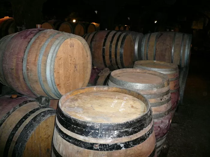 Vins dans le caves 