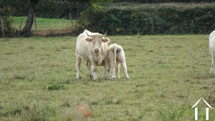 ZOOM RÉGIONAL image-2