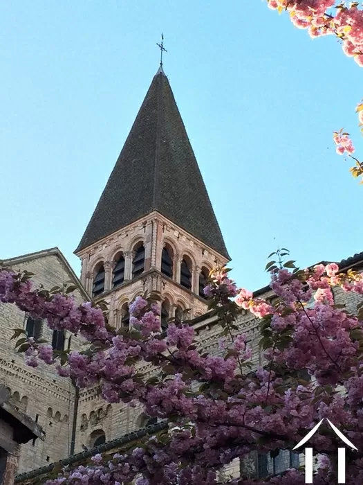 ZOOM RÉGIONAL image-5