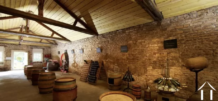 Edition été 2021 image-3