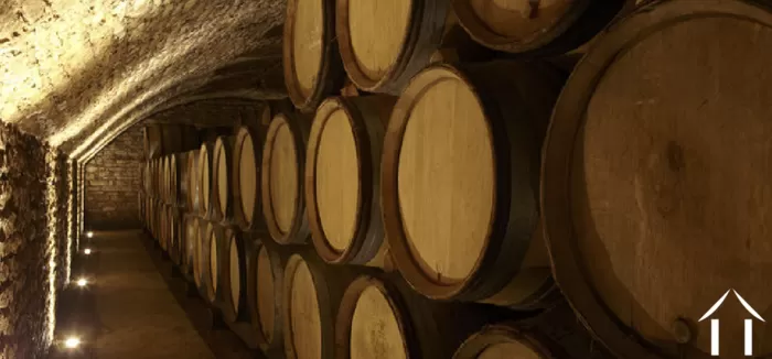 Edition été 2021 image-4