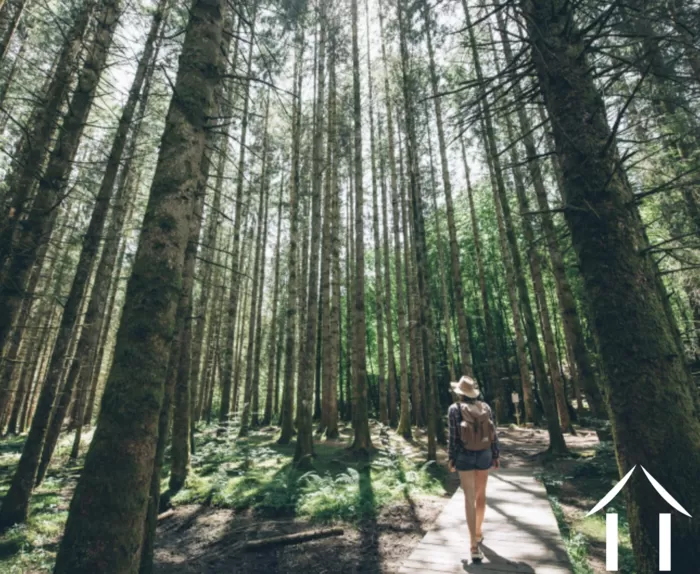 ZOOM REGIONAL  image-1