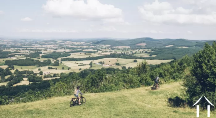 ZOOM REGIONAL  image-4