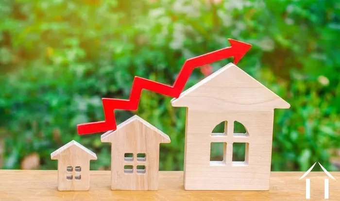 NEWSLETTER de l’AUTOMNE 2020 image-2