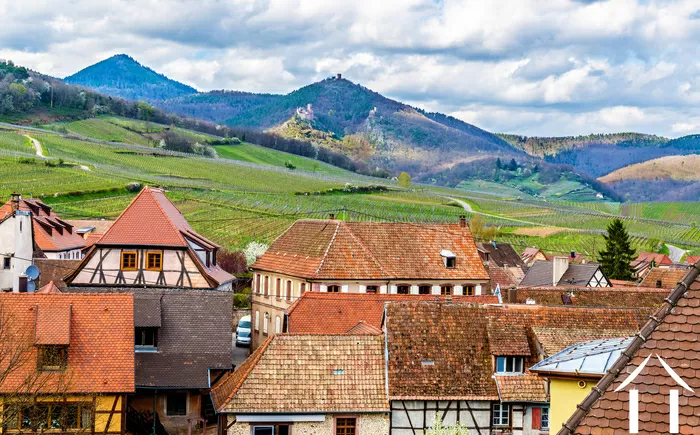 Montagnes des Vosges