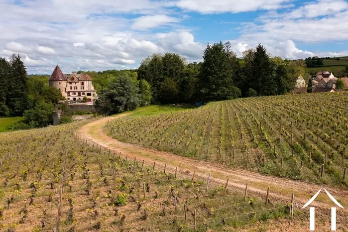 ZOOM REGIONAL image-3