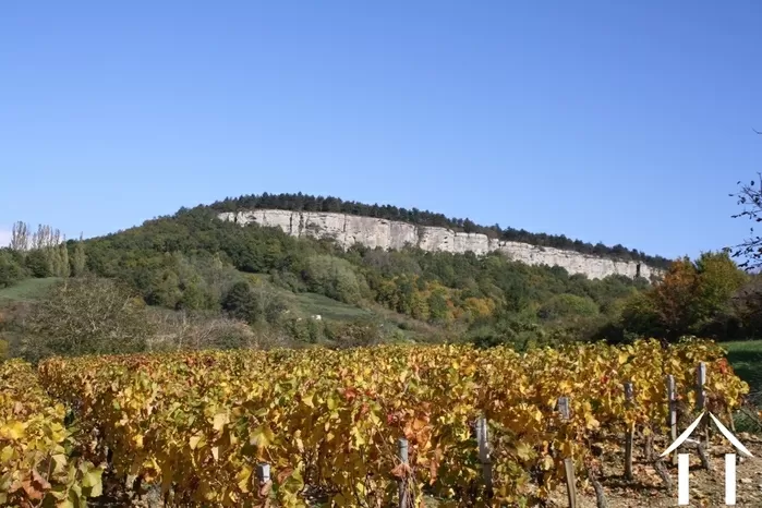 ZOOM REGIONAL image-2